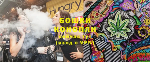 крисы Медногорск