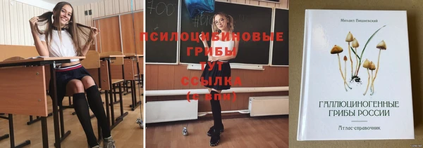 крисы Медногорск
