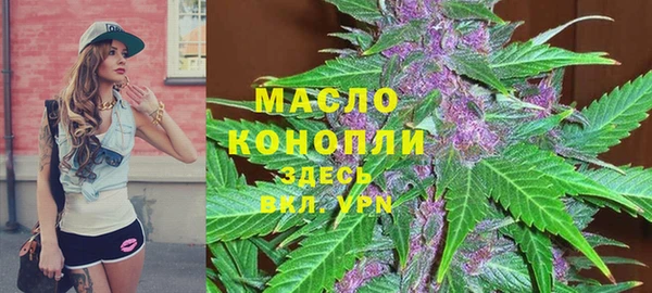 дживик Мегион