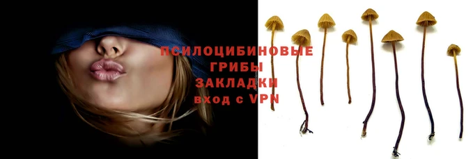 крисы Медногорск
