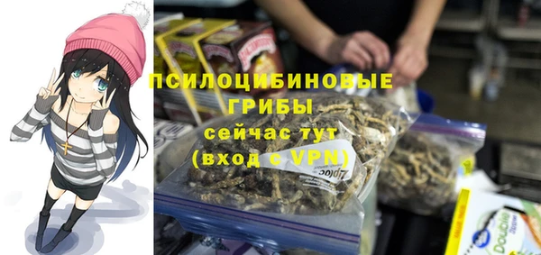 крисы Медногорск